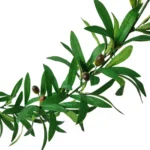 1.85m Olive Green Leaf Artificial Plant Vine Garland Hanging Wedding Arch Decoration Wreath Garden Home Floral Decor
