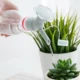 2In1-Watering-Sprinkler-Water-Bottle-Plastic-Sprinkler-Nozzle-Flower-Waterer-Supplie-Garden-Tool-Portable-Household-Potted-1.webp