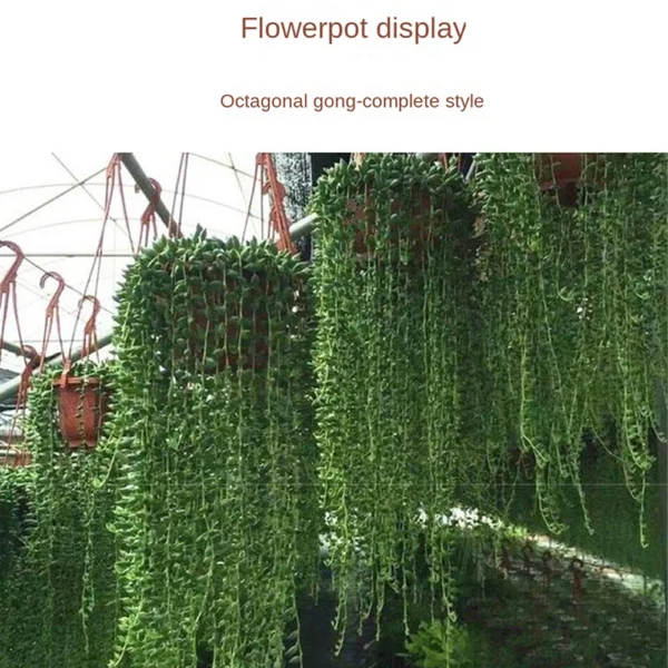 Planter Plastic Octagonal Hanging Basket Plant Flower Pot Hanger Holder Wall Decoration for Courtyard Garden Balcony Planters